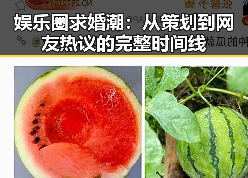 娱乐圈求婚潮:从策划到网友热议的完整时间线
